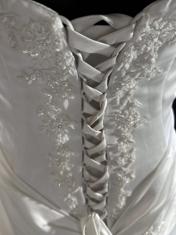 Vineyard Collection - Image 6