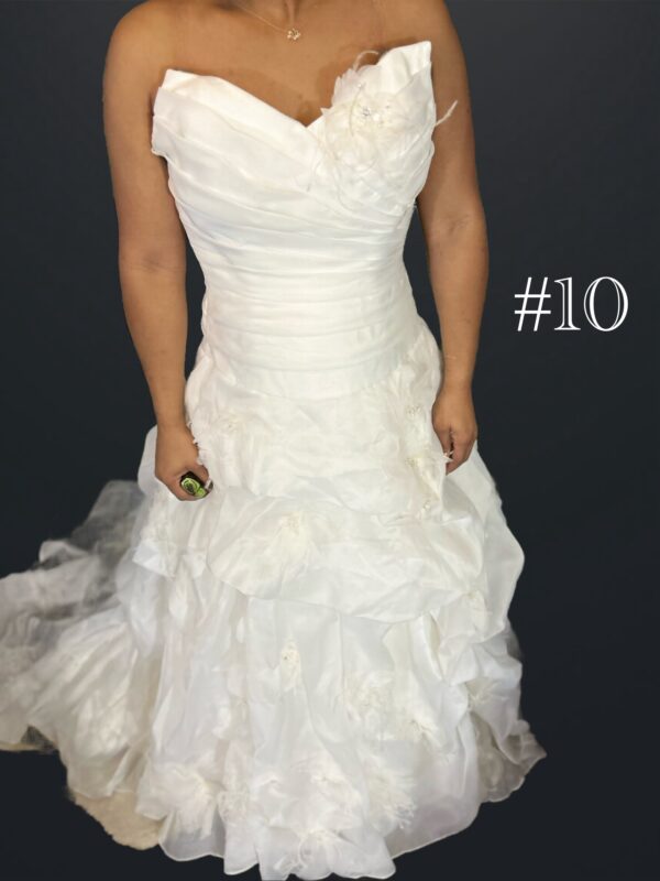Jasmine Haute Collection - Image 3
